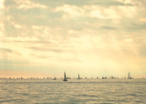 Barcolana, plachty lodí Regata v Terstu. Itálie — Stock fotografie