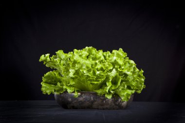 Siyah arka planda taze yeşil marul