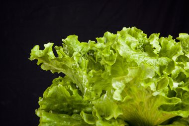 siyah arka plan üzerine ahşap masa üzerinde taze yeşil salata