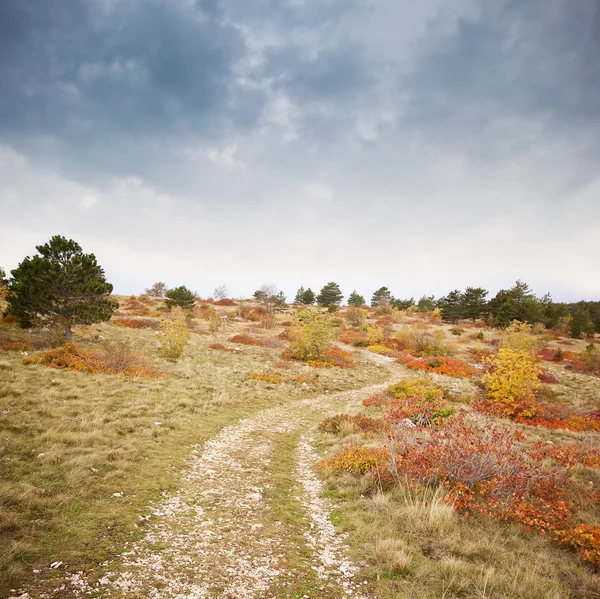 Sentiero nei boschi di kars in autunno — Foto Stock