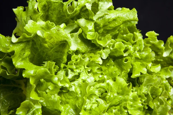 Lettuce close up background — Stock Photo, Image