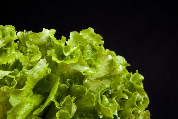 Fresh green lettuce on wooden table on black background — Stock Photo, Image