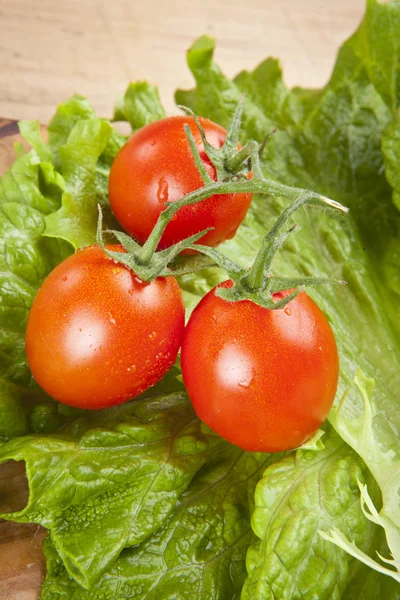 Świeżych dojrzałych pomidorów cherry i sałata na drewnianym stole — Zdjęcie stockowe