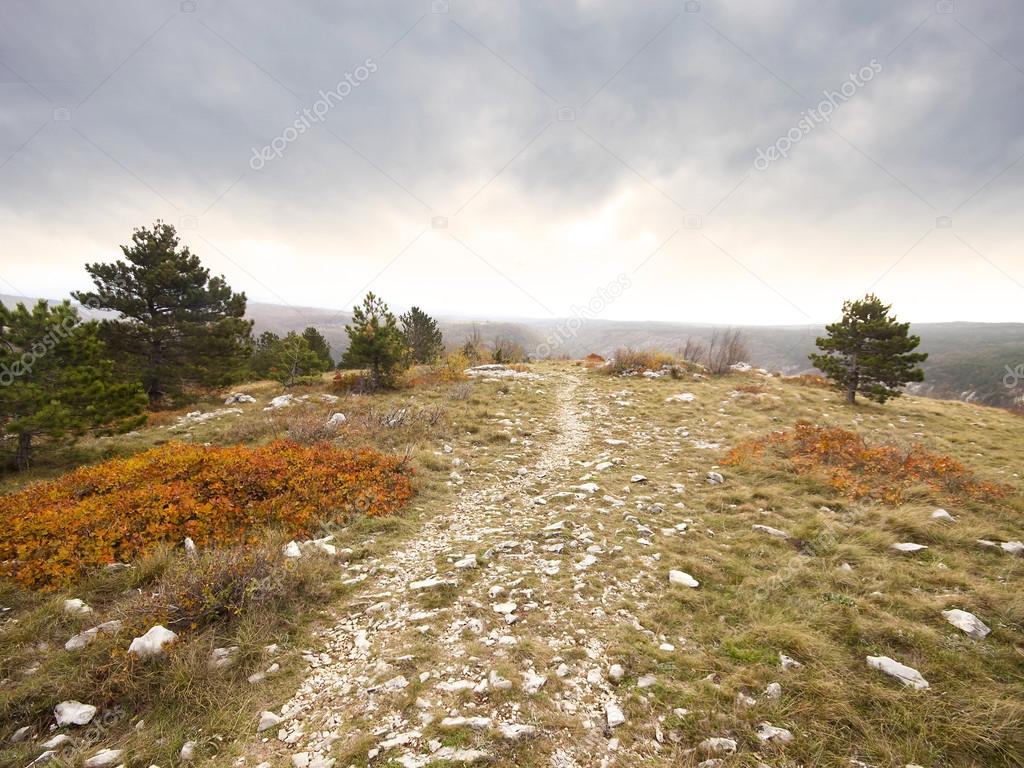 path in the kars woods in autum