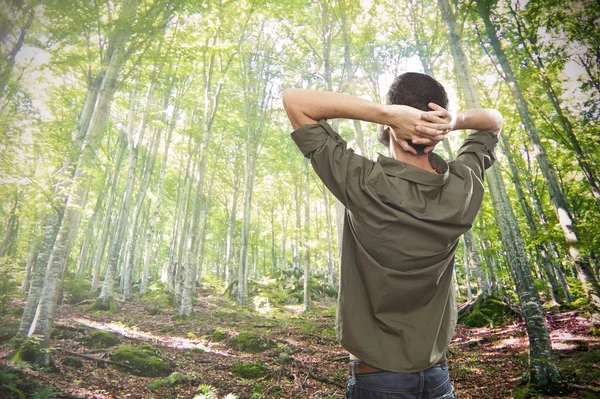 Jeune homme profitant de la lumière du soleil dans une forêt verte d'été — Photo