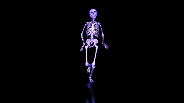 Esqueleto a correr. Loop. CGI HD — Vídeo de Stock