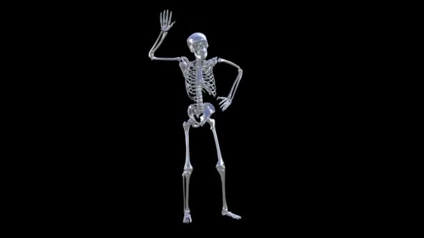 Skeleton Disco Dancing. Chrome - Ciel bleu plus Alpha CGI 