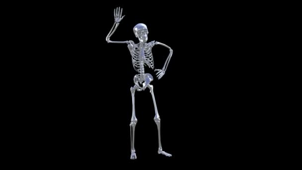 Skeleton disco dansen. Chrome - hemel blauw plus alpha cgi — Stockvideo