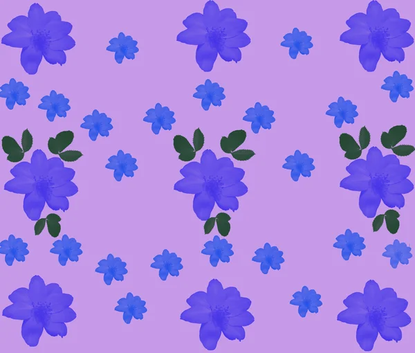 Dark Blue Violet Flowers Green Leaves Located Light Pink Background — Stock Photo, Image