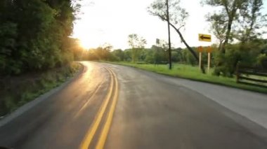 sürücü perspektifi