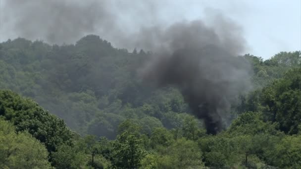 Un incendio infuria fuori controllo nei boschi — Video Stock