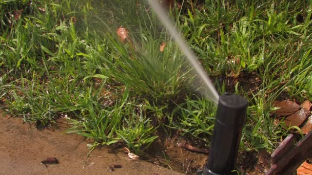 Irrigatori per prato irrigazione . — Video Stock