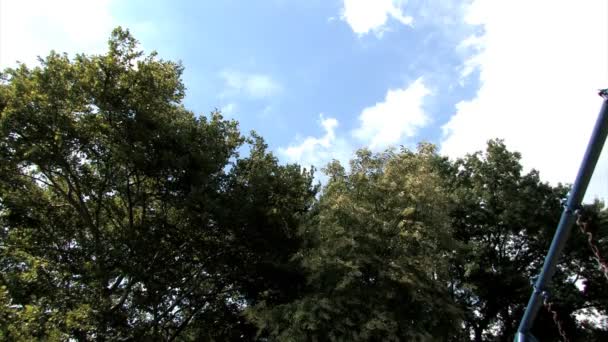 A young girl swings on a swing set — Stock Video