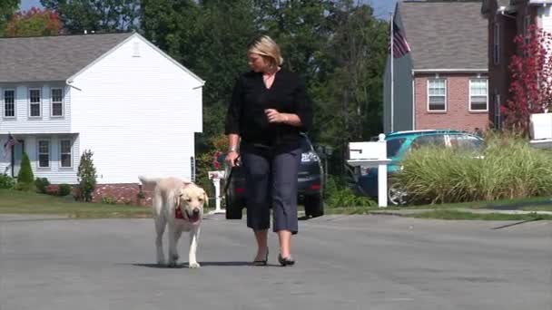 Женщина выгуливает собаку. — стоковое видео
