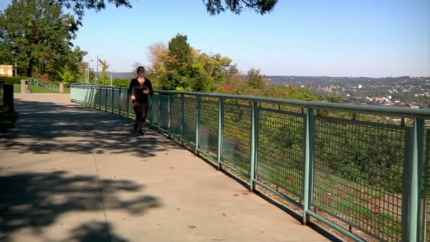 Pittsburgh Jogger — Stockvideo