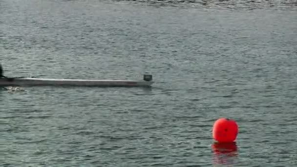 Team besättningsmedlemmar förbereda och tävla i rad regattan på floden allegheny på pittsburgh's north shore — Stockvideo