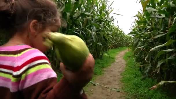 Une petite fille marche dans un labyrinthe de maïs — Video