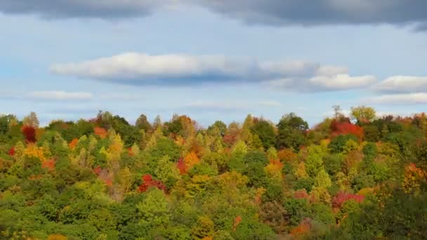 Западная Пенсильвания Осенняя листва — стоковое видео