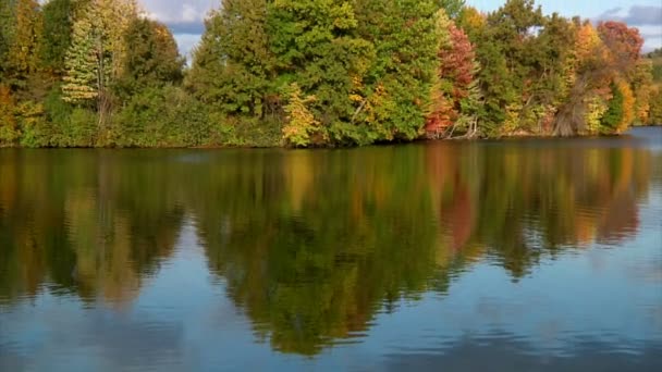 Feuillage d'automne en Pennsylvanie occidentale — Video