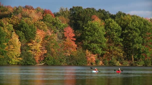 Kayakers en un lago — Vídeos de Stock