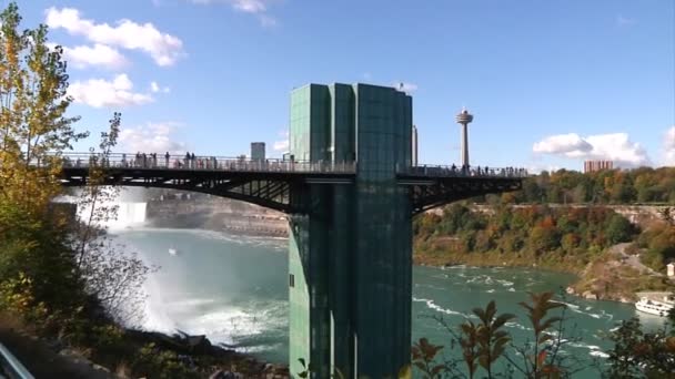 Seagulls flying over the Niagara River — Stock Video
