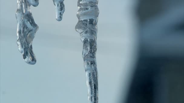 Dripping icicles. — Stock Video