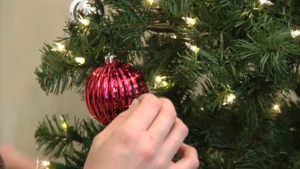 Um marido e uma esposa derrubam sua árvore de Natal . — Vídeo de Stock