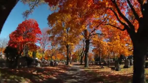 Dwalend door een begraafplaats in de herfst — Stockvideo