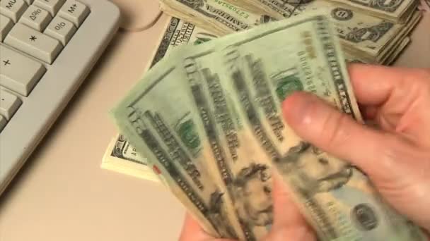 Een bankier telt geld met de hand. — Stockvideo