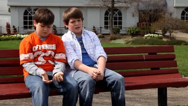2 人の若い兄弟、公園内の湖に石を投げる. — ストック動画