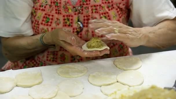 志愿者准备和捏饺子 — 图库视频影像