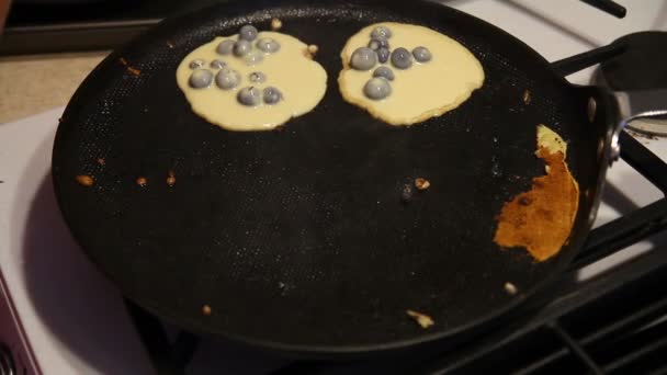 Making blueberry pancakes. — Stock Video