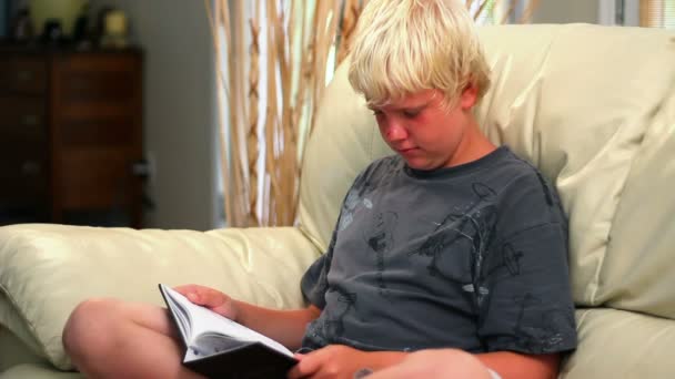 Mladý chlapec čte knihu v obývacím pokoji. — Stock video