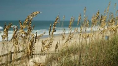 bir kumsalı yaz tatilinde dalgalar.