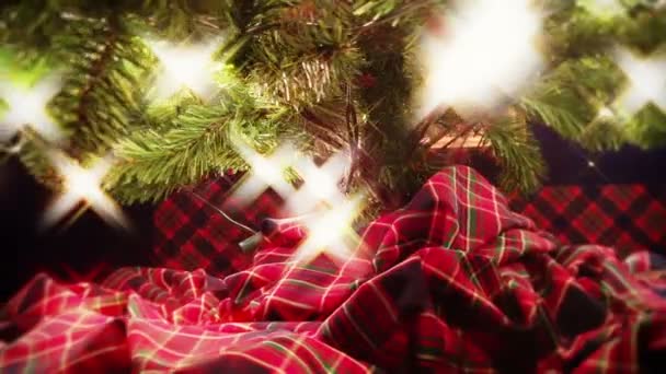 Різдвяні вогні дерева — стокове відео