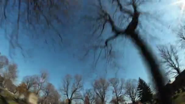 Zaman atlamalı sürüş Thru ağaçlar — Stok video