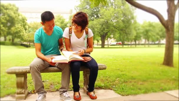 Les étudiants se rencontrent et marchent sur un campus universitaire . — Video