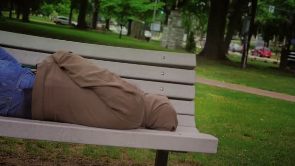 Homeless Man on Park Bench — Stock Video