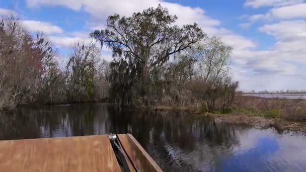 Airboat Ride POV — Stock Video