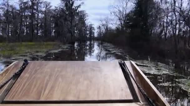 Airboat Ride POV — Stock Video