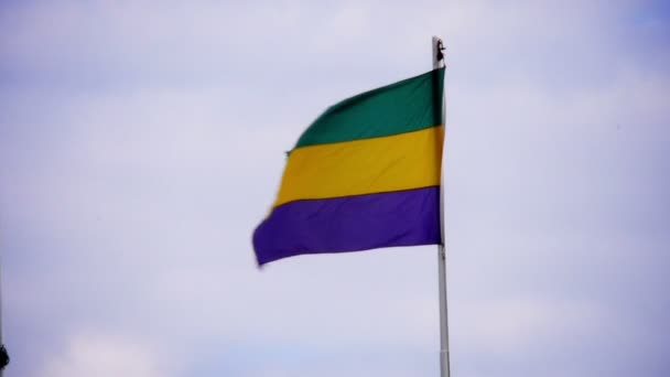 Mardi Gras Flag – Stock-video