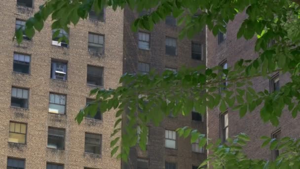Нью-Йорк стиль багатоквартирному будинку встановлення постріл — стокове відео