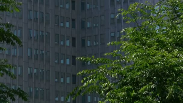 Edificio de apartamentos de estilo neoyorquino Establishing Shot — Vídeos de Stock