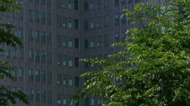 New York Style Apartment Building Establishing Shot — Stock Video