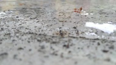 Su yerden akıyor.