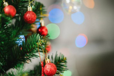 Dekoratif ışık topları ve Noel çamı ve yeni yıl tatili arka planı