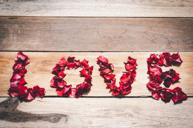 Fresh beautiful red roses valentine day close up texture background
