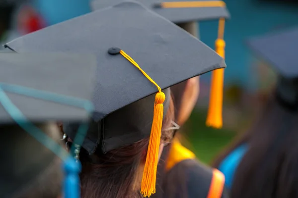 Tillbaka Utexaminerade Ceremoni Framgång Utexaminerade Från Universitetet Concept Utbildning Grattis — Stockfoto