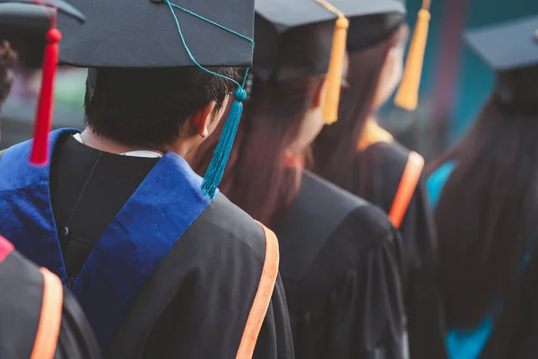 Tillbaka Utexaminerade Ceremoni Framgång Utexaminerade Från Universitetet Concept Utbildning Grattis Stockfoto