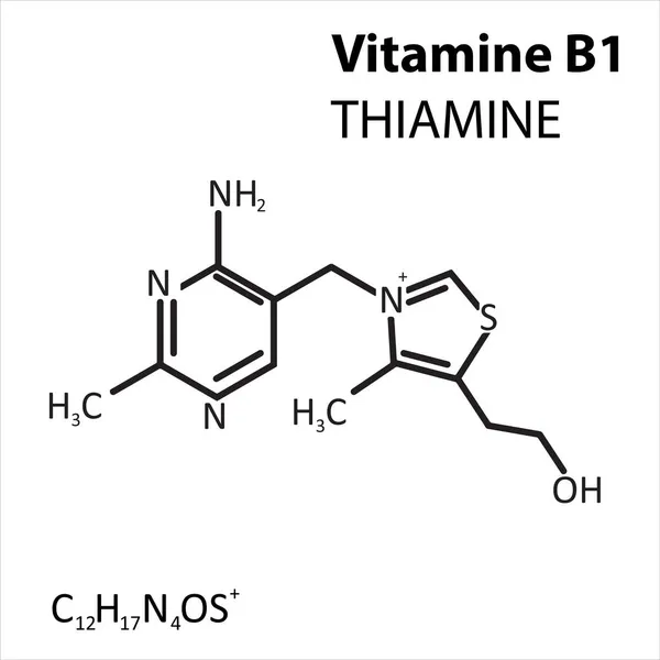 B1-vitamin tiamin vonal kémiai képlete — Stock Vector